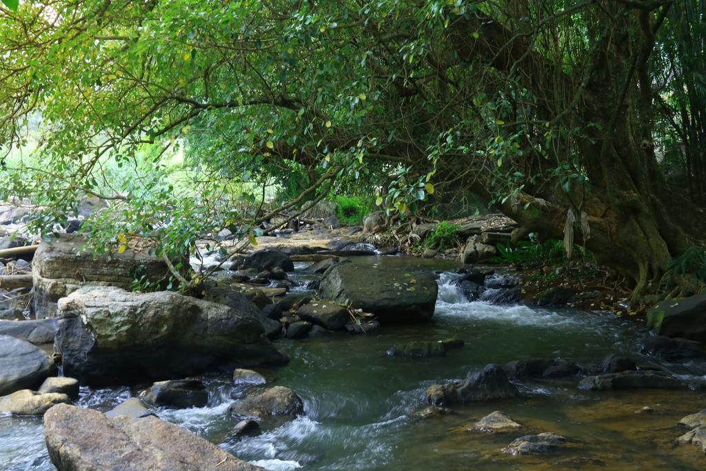 Nivahana Homestay Kandy Bagian luar foto