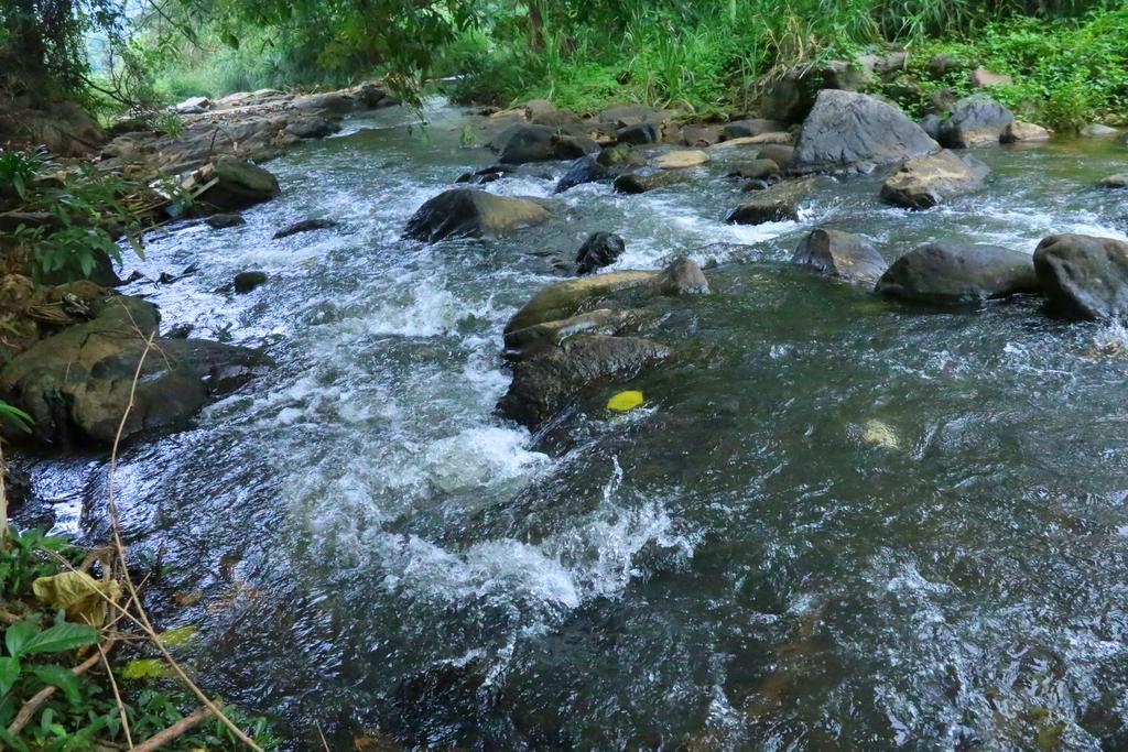 Nivahana Homestay Kandy Bagian luar foto