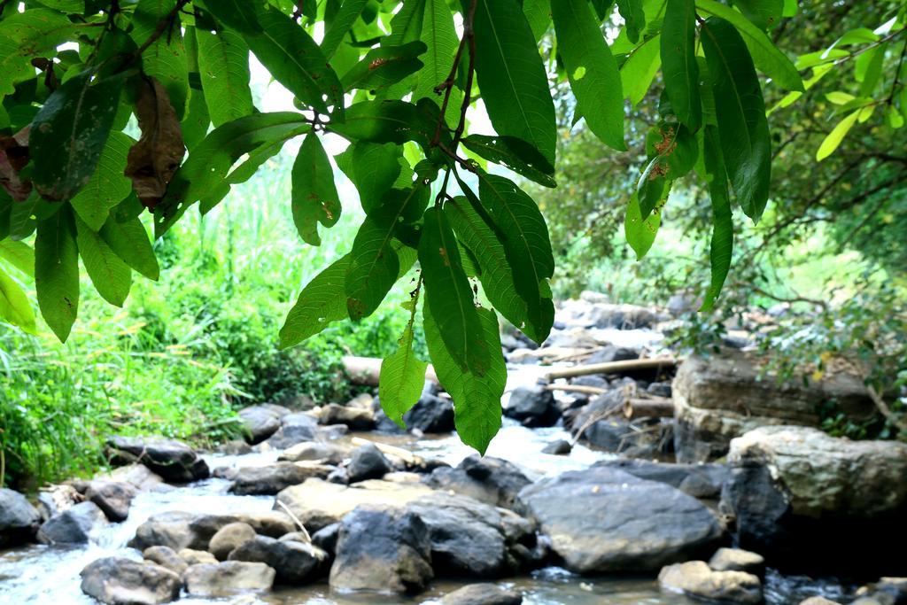 Nivahana Homestay Kandy Bagian luar foto
