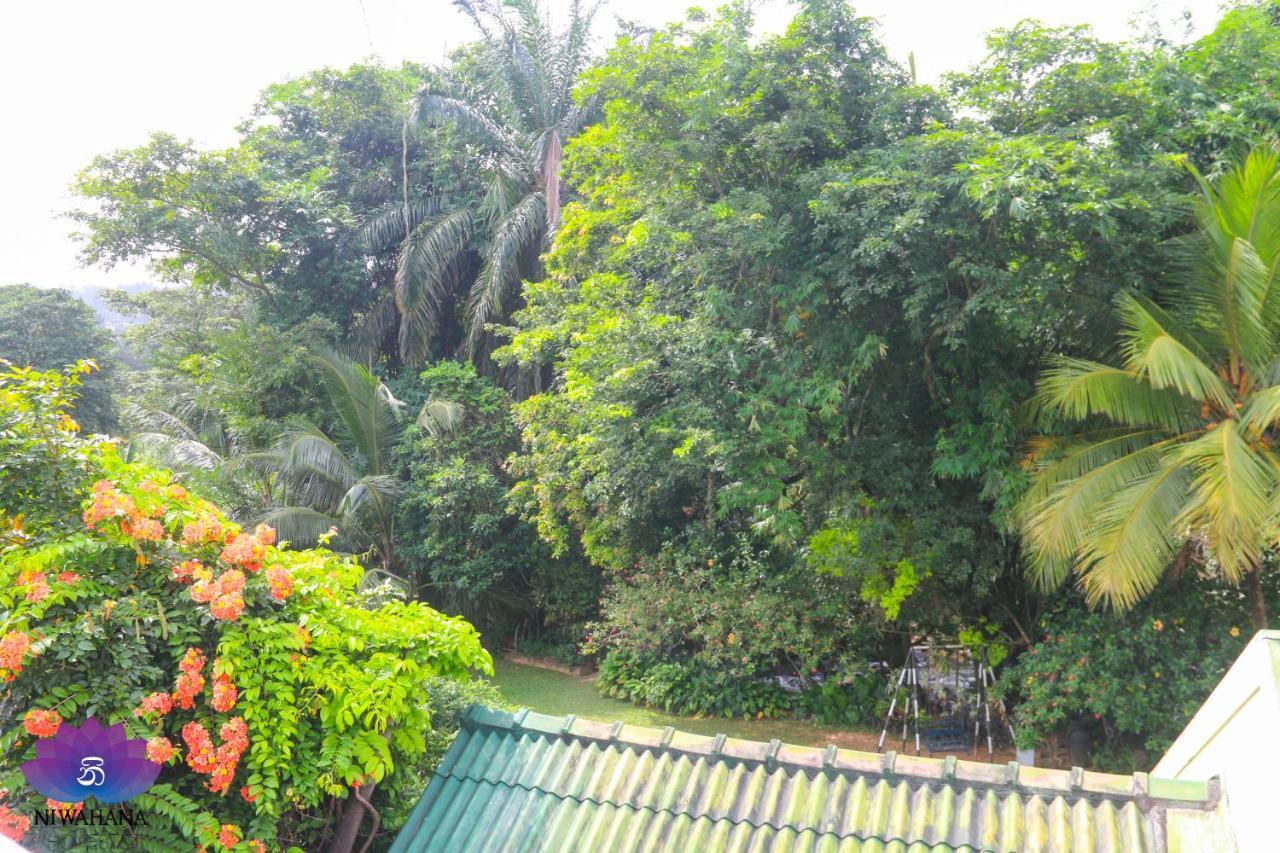 Nivahana Homestay Kandy Bagian luar foto