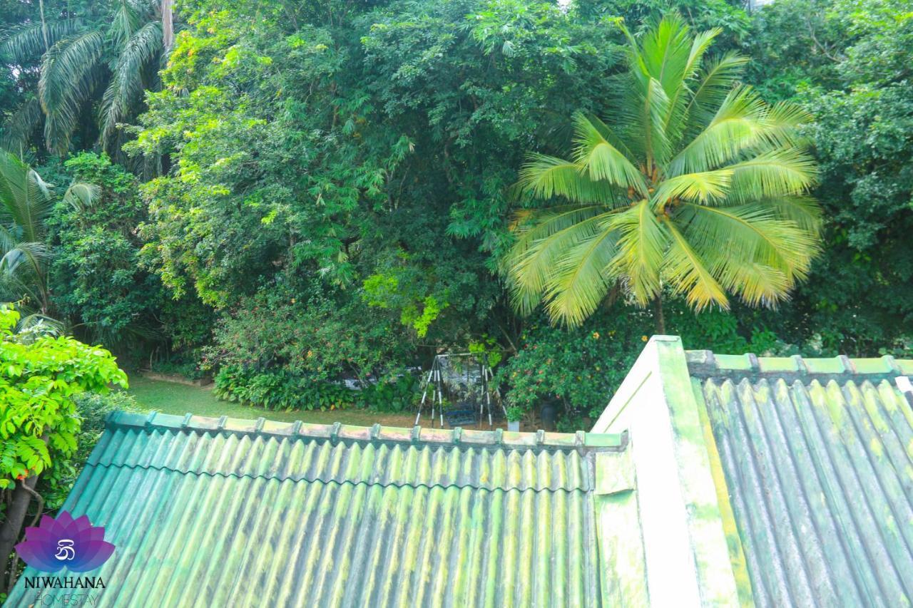 Nivahana Homestay Kandy Bagian luar foto