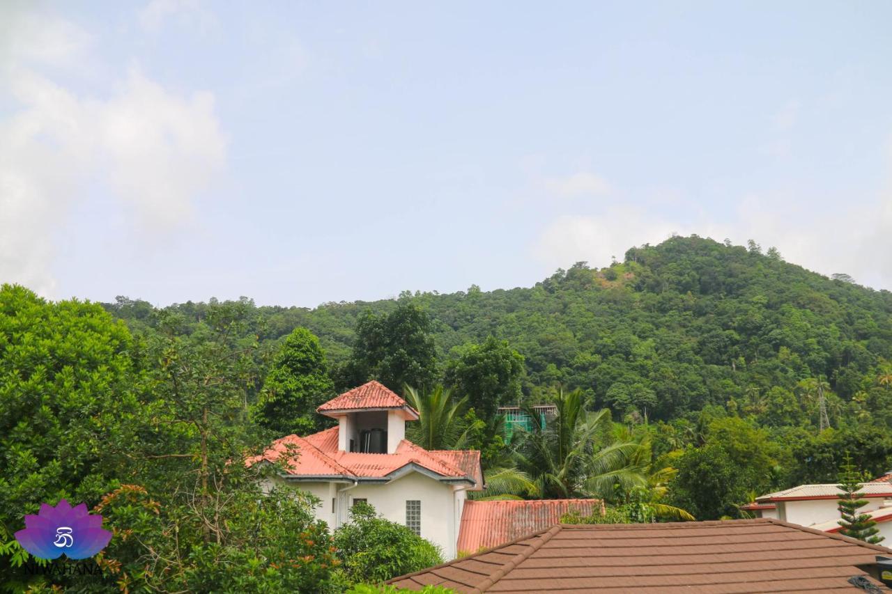 Nivahana Homestay Kandy Bagian luar foto